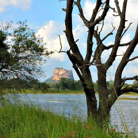 Rho Sigiriya Lake Edge Retreat Kibissa 외부 사진