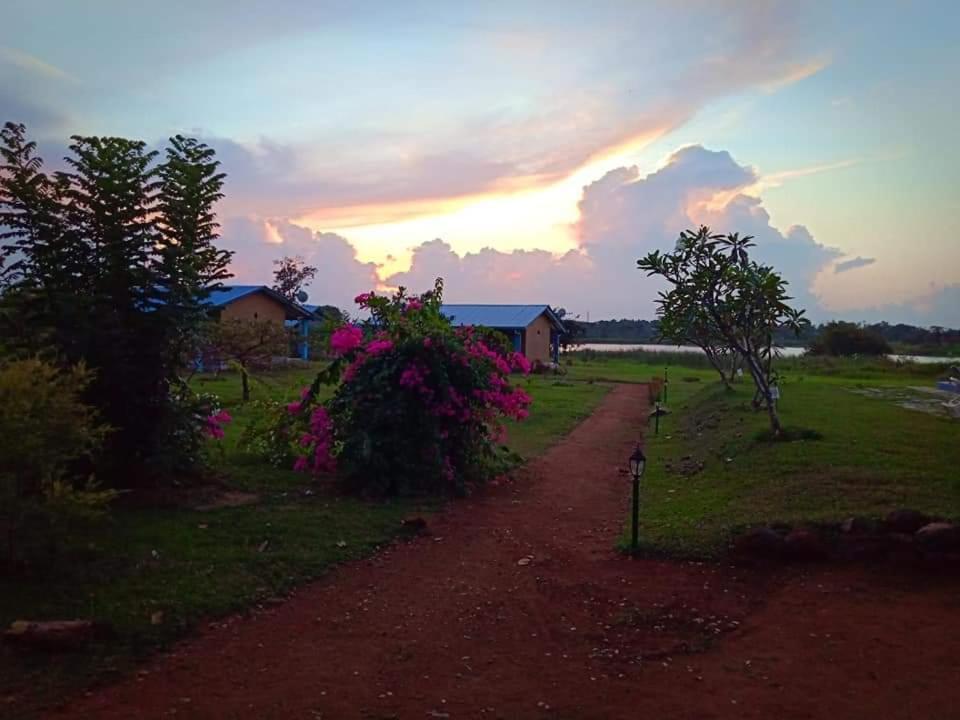 Rho Sigiriya Lake Edge Retreat Kibissa 외부 사진