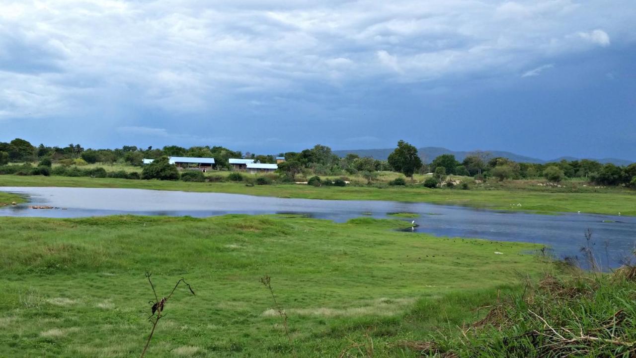 Rho Sigiriya Lake Edge Retreat Kibissa 외부 사진