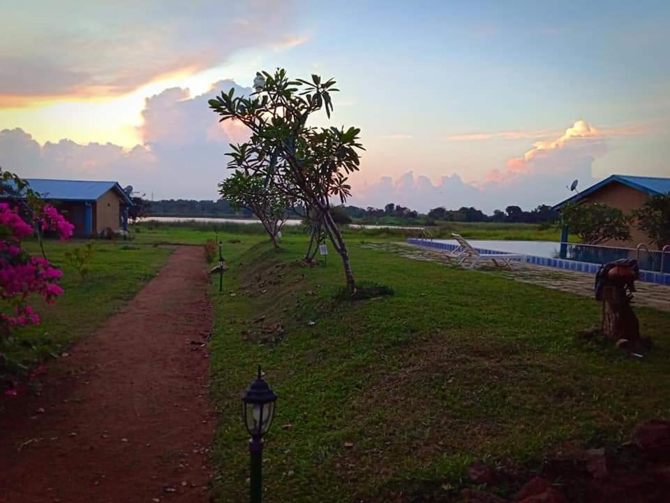 Rho Sigiriya Lake Edge Retreat Kibissa 외부 사진