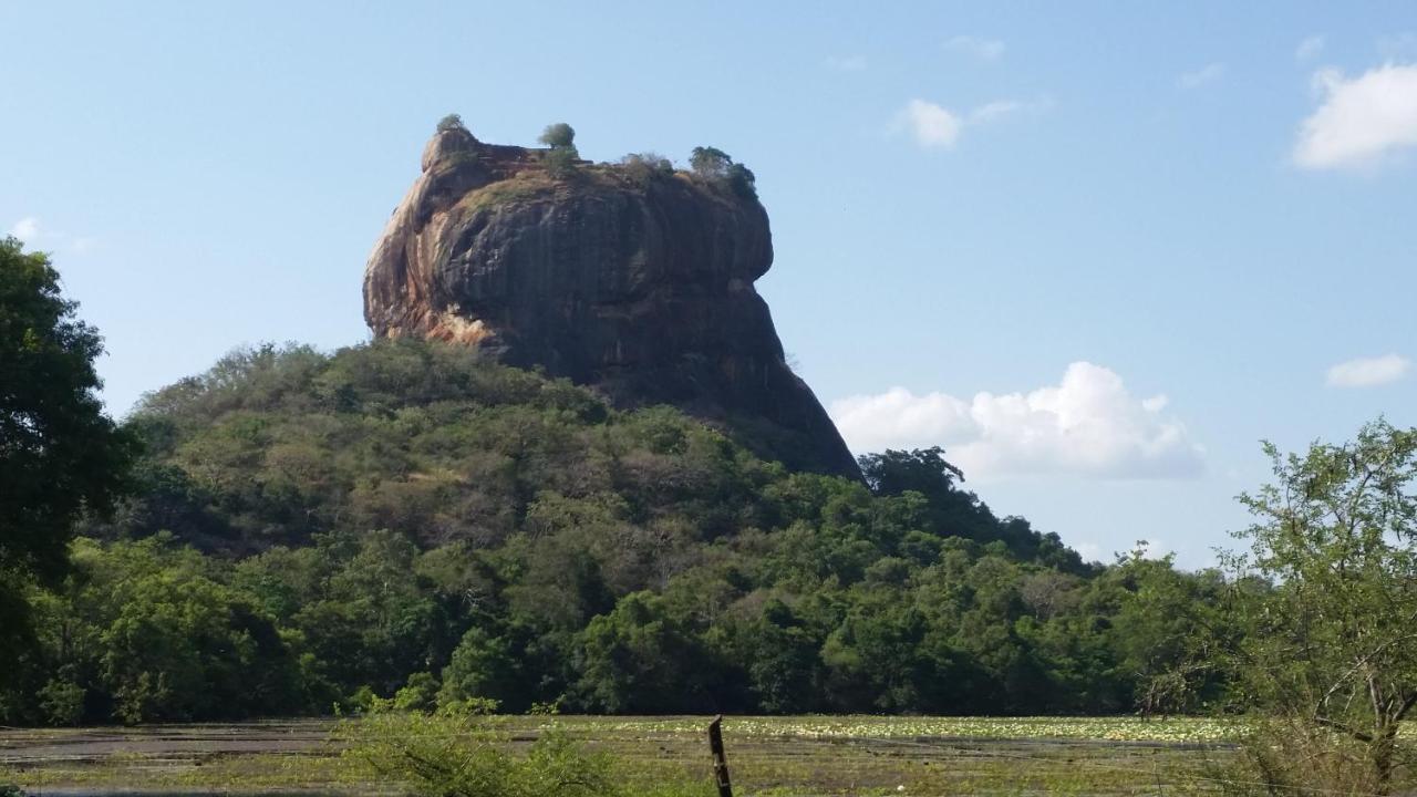 Rho Sigiriya Lake Edge Retreat Kibissa 외부 사진