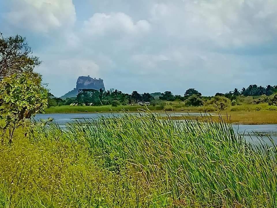 Rho Sigiriya Lake Edge Retreat Kibissa 외부 사진