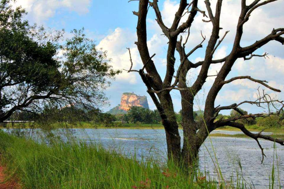 Rho Sigiriya Lake Edge Retreat Kibissa 외부 사진