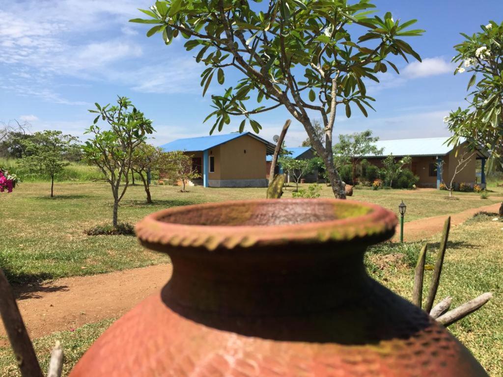 Rho Sigiriya Lake Edge Retreat Kibissa 외부 사진